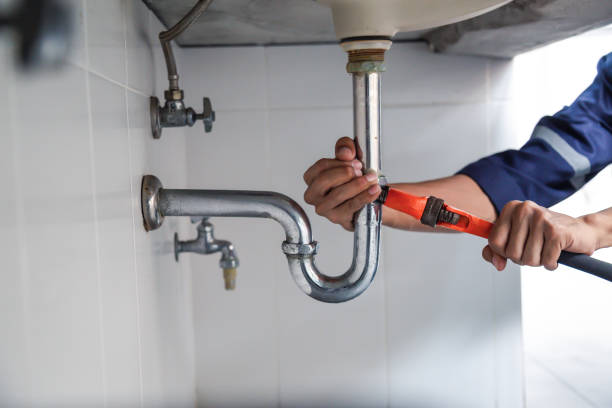 Best Plumbing Inspections & Maintenance in Grandview, IL